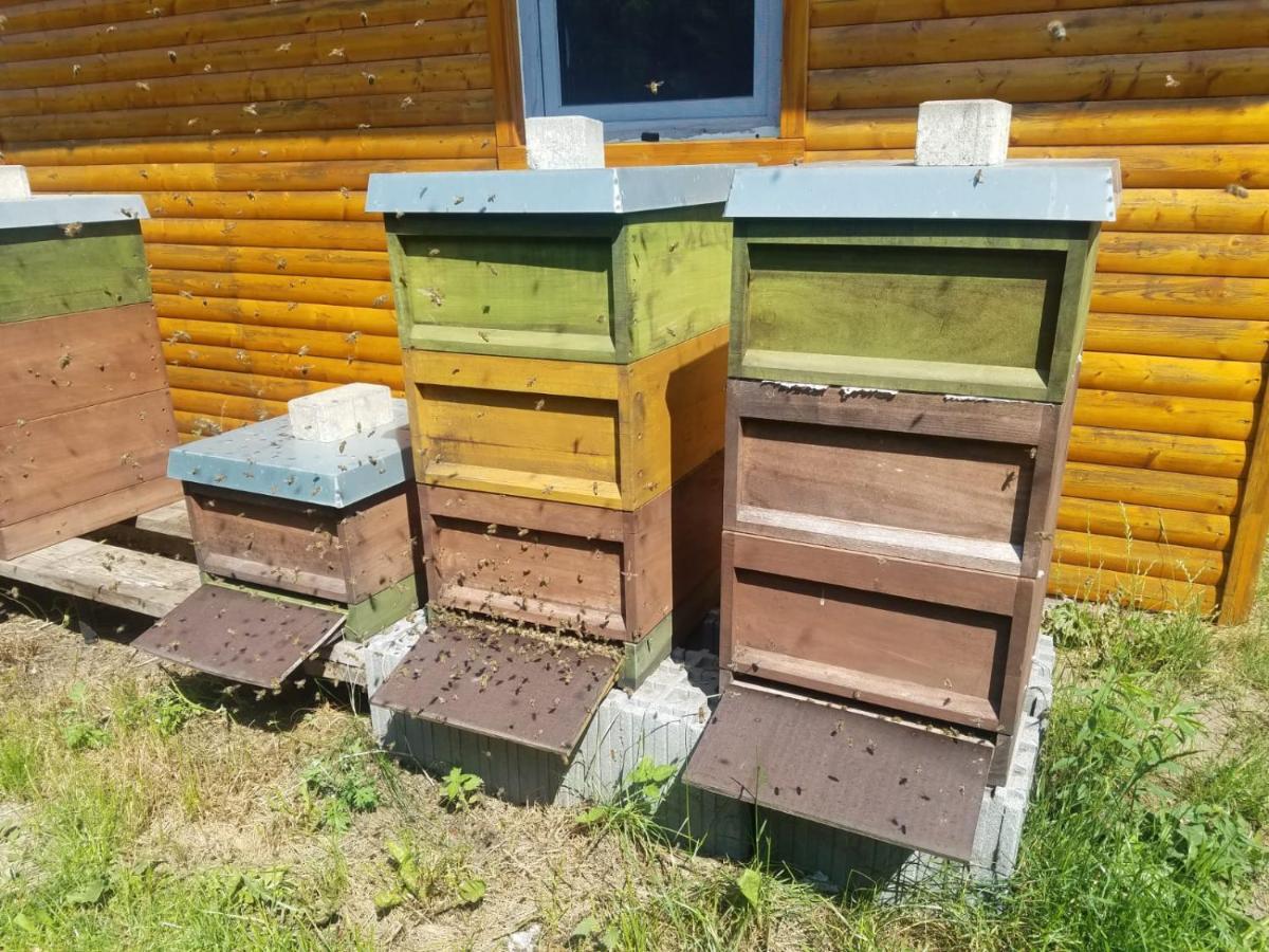 Ferienhaus Zum Imker Velten Luaran gambar
