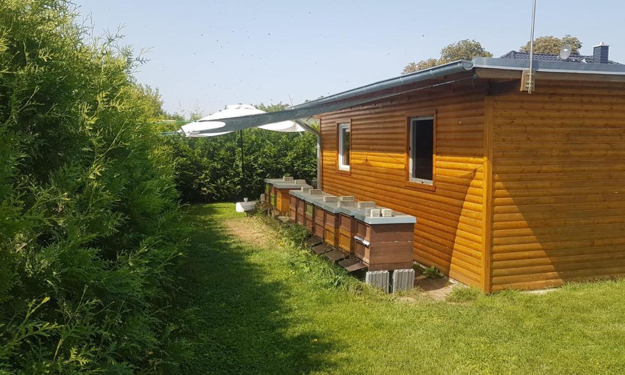 Ferienhaus Zum Imker Velten Luaran gambar
